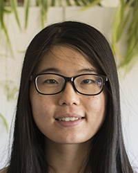 Yinghui Yin